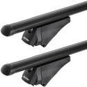 Barres de toit en aluminium pour Lexus NX 200T/300H (10/2014-08/2021) Menabo Tiger